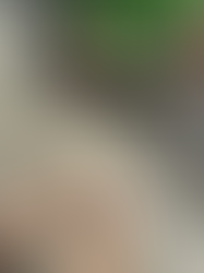 04 – Wayfinding Workshop