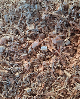 WhatsApp Image 2026-01-31 at 8.47.24 AM (9).jpeg