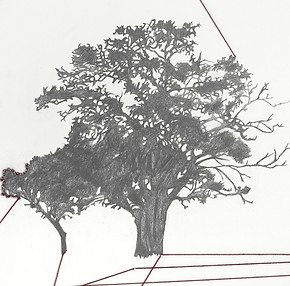 Landscape of a Family.jpg