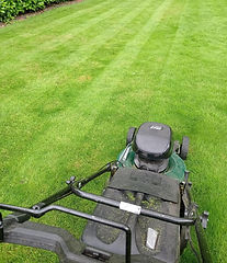 Roller mower again_edited.jpg