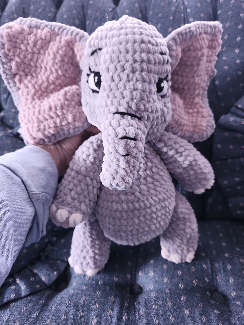 IMG_20240315_111256 - Copy