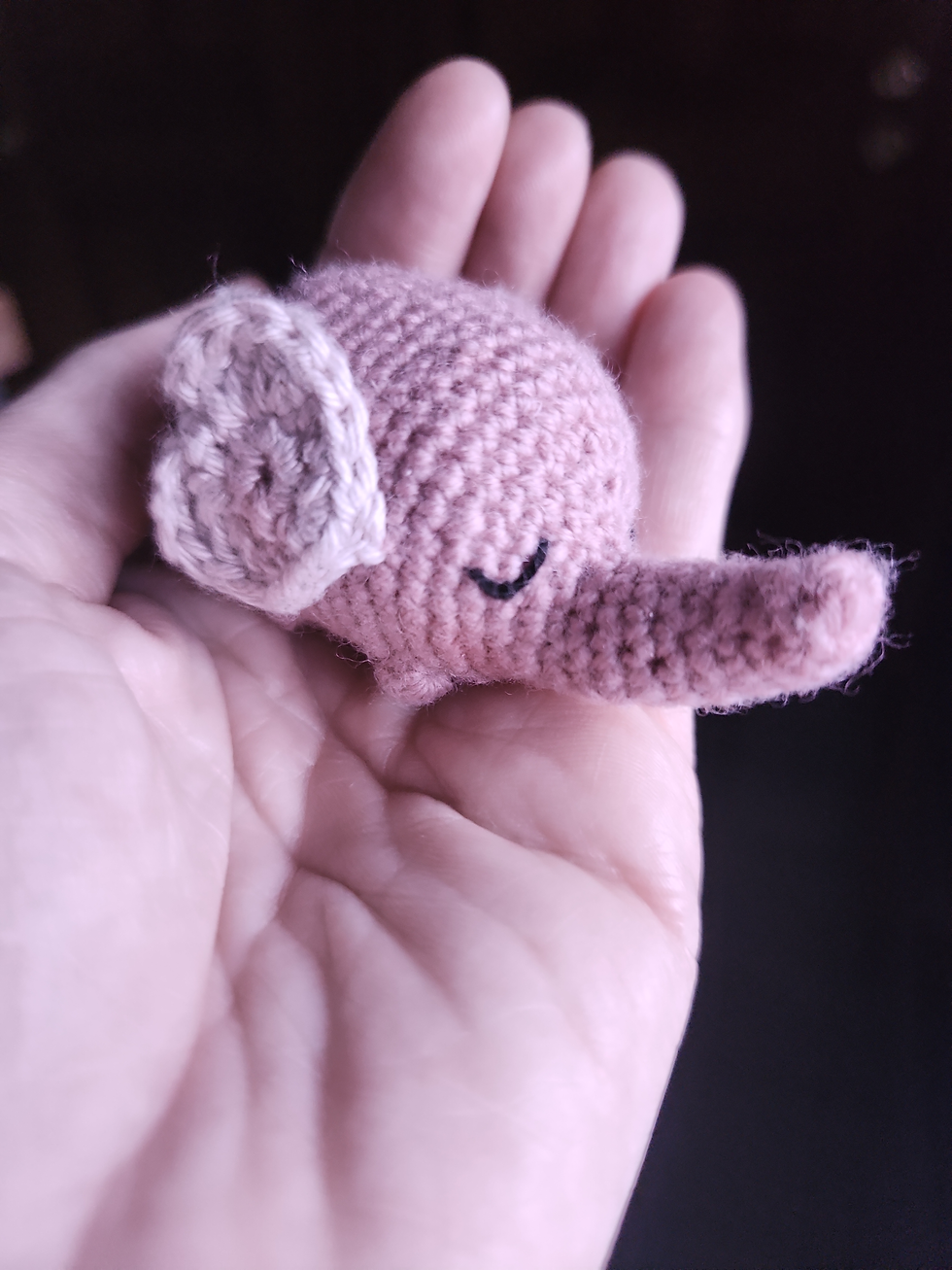 IMG_20240724_193913 (2)