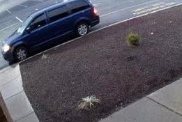 Danville Police Seek Public's Help in Store Break-In