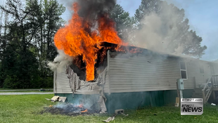 Two cats killed in house fire