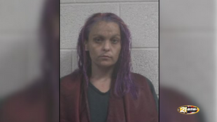 Massive Drug Bust in Madison: Fentanyl, Firearms, and Stolen Vehicles Seized in Multi-Agency Raid
