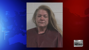 Woman arrested for shooting boyfriend in the head