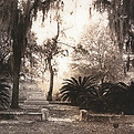 Cemetery