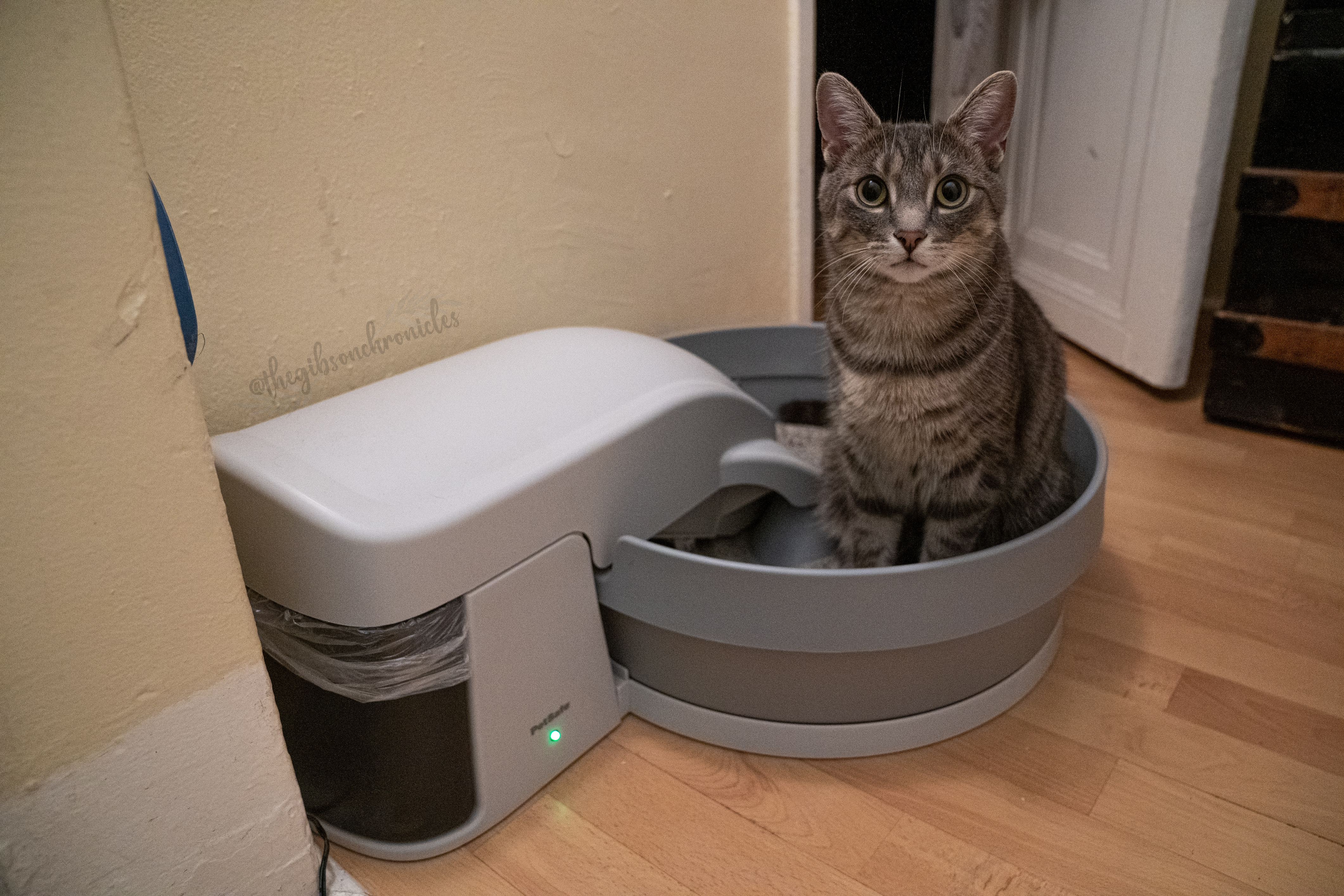 simply clean automatic litter box simply clean automatic litter box