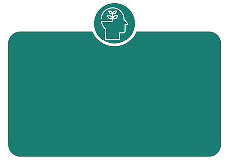 Green Box.png