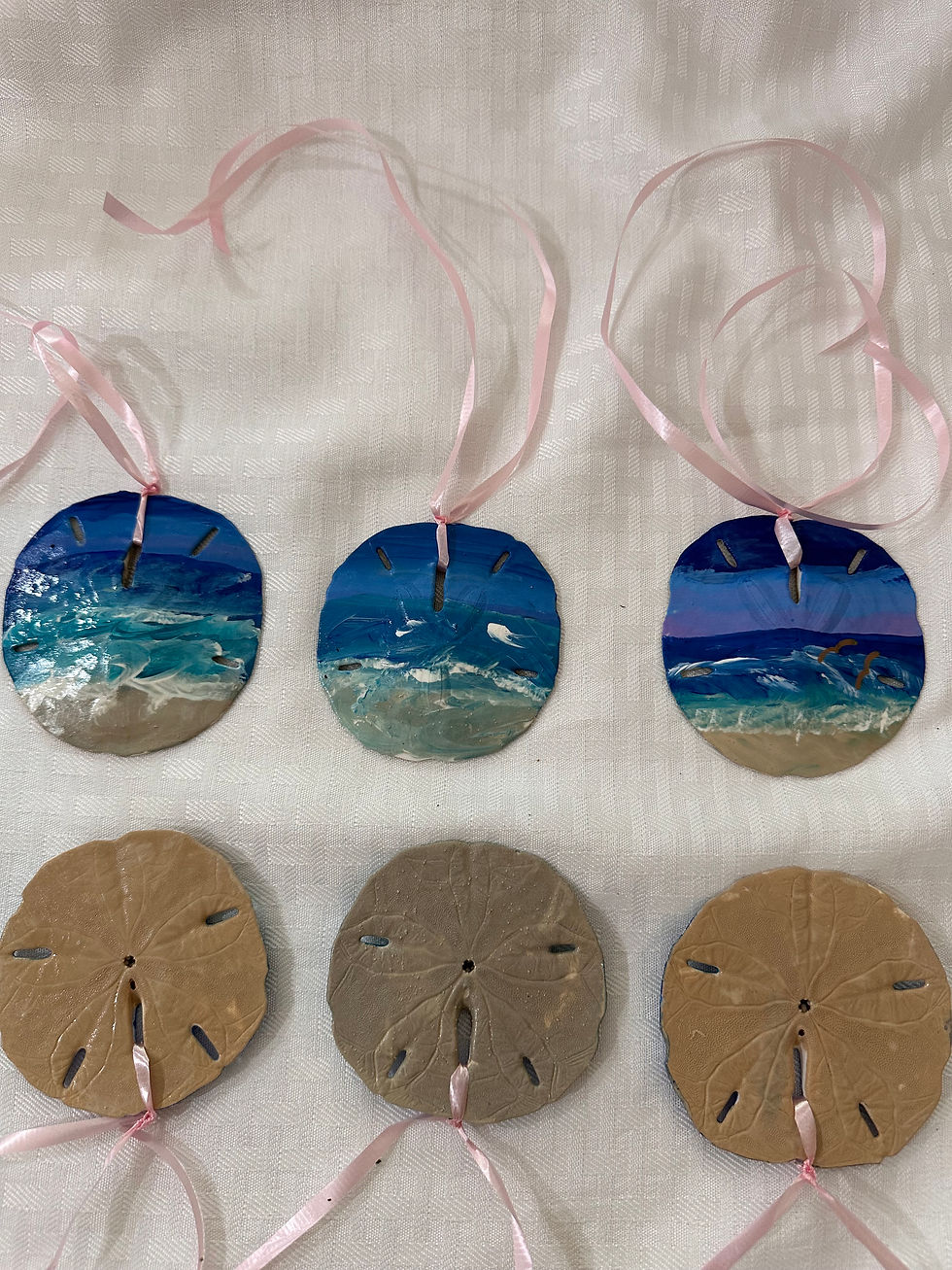 Thumbnail: Sand Dollar Collection