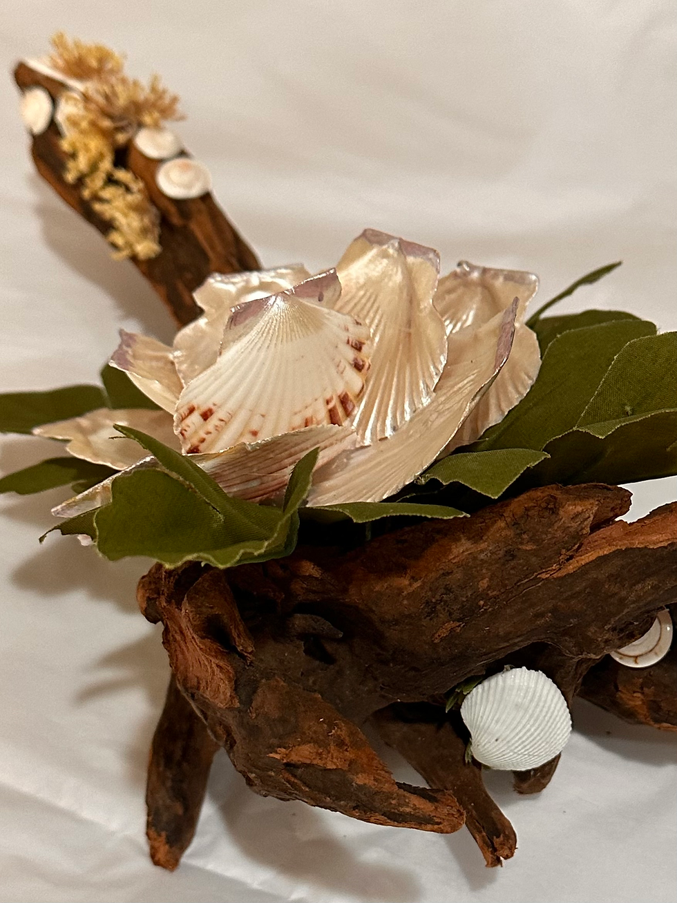 Thumbnail: Calico Clam Lily