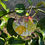 Thumbnail: Beach Tree Decor B