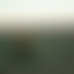 Niño Viejo llega desde Mexicali con Culto al Ruido