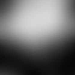 We Missed Ourselves Fest 2025 Completa su Lineup