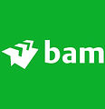 Bam logo.jpg