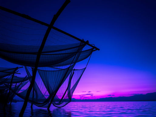 Top Places to Visit and Things to Do in Kerala | Kerala Destinations