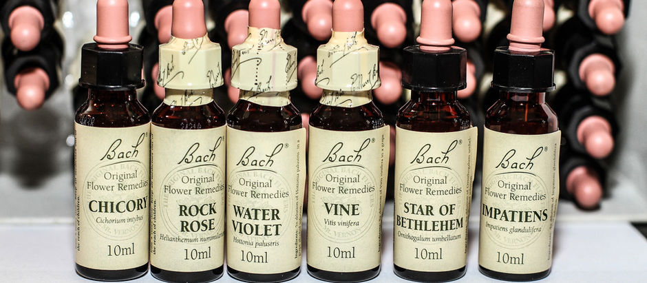 The role Flower Essences can play to help support the Immune System