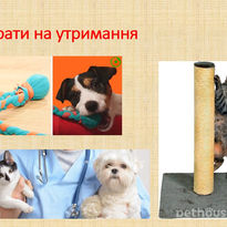 Слайд10.JPG