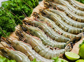 Head-On-Shell-On-Black-Tiger-Shrimp1.jpg