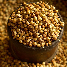 Jora_Exports and Imports_Coriander Seeds