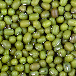 Jora Exports and Imports _ Moong Bean Wh