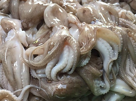 Jora_Exports and Imports_Octopus PRT.png