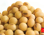 Jora_Exports and Imports_Soybean Seeds 1