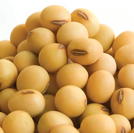 Jora_Exports and Imports_Soybean Seeds 1