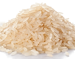 Jora Exports and Imports _ Parmal Rice.p