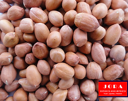 Jora_Exports and Imports_Peanut Seeds.pn