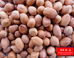 Jora_Exports and Imports_Peanut Seeds.pn