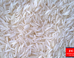 Jora Exports and Imports _ Sugandha Basm