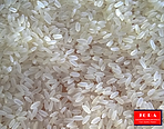 Jora Exports and Imports _ IR 8 Rice.png