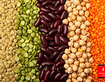 Jora Exports and Imports _ GRAIN & PULSE