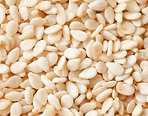 Jora_Exports and Imports_Sesame Seeds.pn