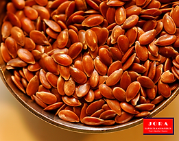 Jora_Exports and Imports_Flaxseeds.png
