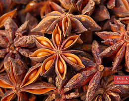 Jora_Exports and Imports_Star Anise_PRT.