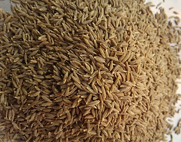 Jora_Exports and Imports_Cumin.png