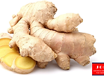 Jora Exports & Imports_Fresh Ginger.png