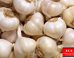Jora Exports & Imports_Garlic.png