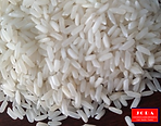 Jora Exports and Imports _ IR 64  & 36 R