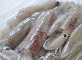 Jora_Exports and Imports_Squid.png