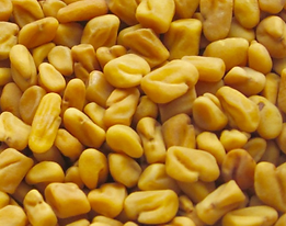 Jora_Exports and Imports_Fenugreek Seeds