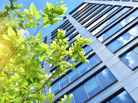 Making Your Business Go Green