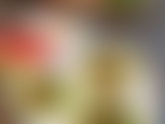 Celia’s Flour Tortillas, salmon taco recipe, honey garlic tacos, seafood tacos, easy dinner recipes, Asian-inspired tacos, sweet and savory tacos