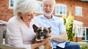 The Unspoken Benefits of Pet-Friendly Senior Living