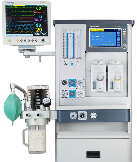 Adobe Express - file (11).png