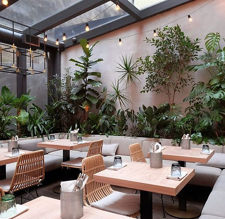 JUNGLE cafe.jpeg