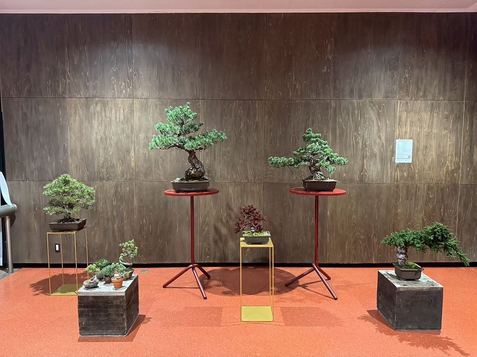 万博記念公園・日本庭園にて盆栽展示を行いました。