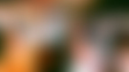 Předprodej vstupenek na ples